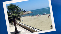 AlquilerAmpolla.com