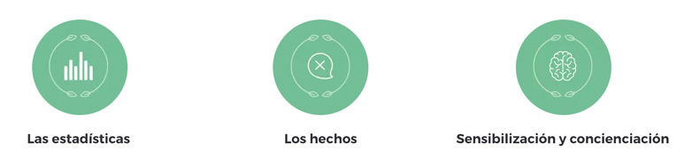 Iconos Personalizados Diseño Web - Conciencia y Nutrición