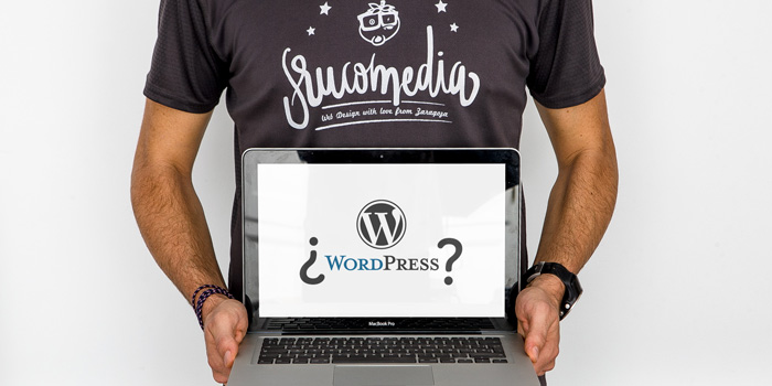 Is WordPress the best option for starting a website?