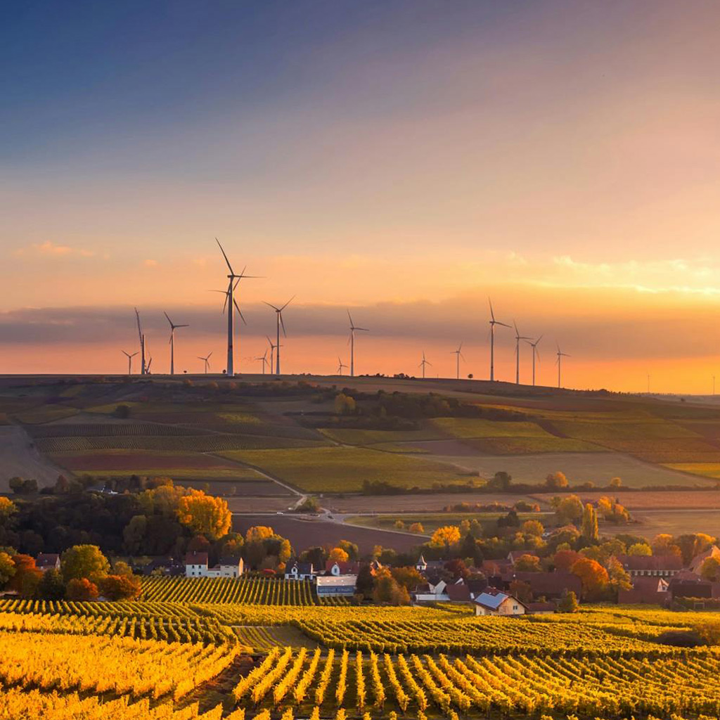 Sostenibilidad Rural